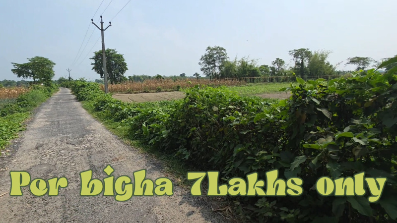  Residential Plot 10 Bigha for Sale in Khoribari, Darjeeling