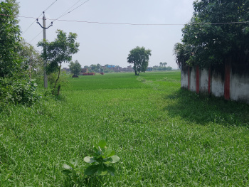  Residential Plot for Sale in Dariyapur, Patna