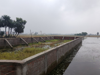  Residential Plot for Sale in Paijawa, Patna