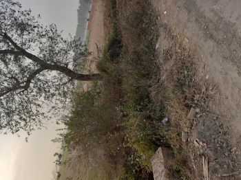  Commercial Land for Rent in Rudrapur Udham, Udham Singh Nagar