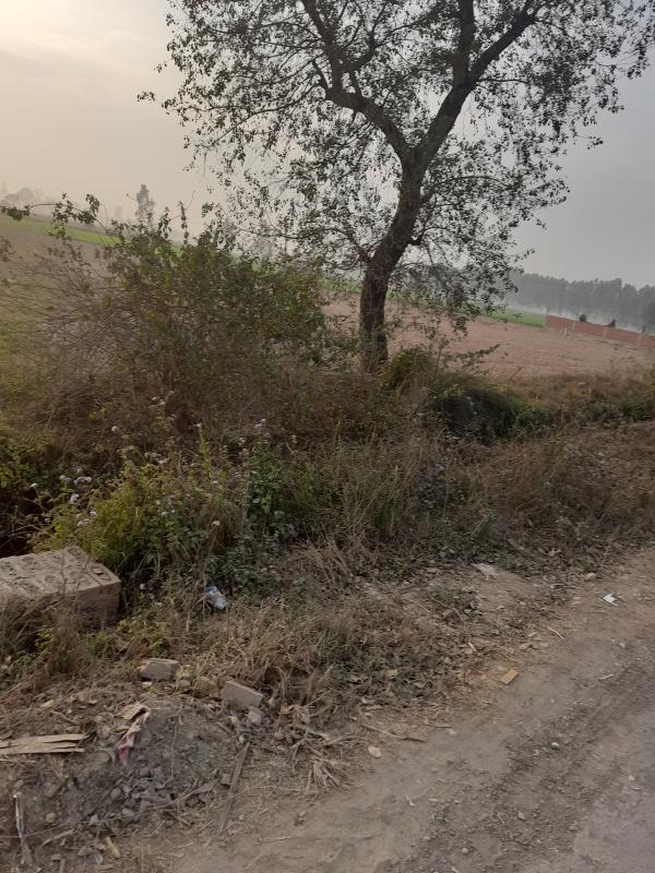  Commercial Land 10600 Sq.ft. for Rent in Rudrapur Udham, Udham Singh Nagar