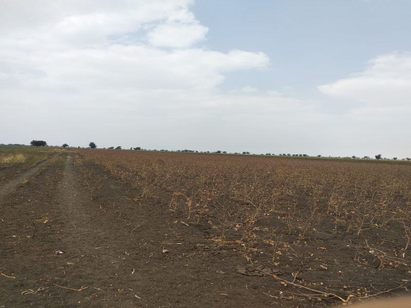  87121 Sq.ft. Agricultural/Farm Land for Sale in Annigeri, Dharwad