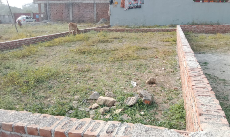  Residential Plot 130 Sq. Yards for Sale in Sahastradhara Road, Sahastradhara Road, Dehradun