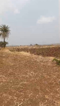  Agricultural Land for Sale in Aleru, Hyderabad