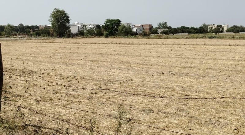  Agricultural Land 4 Bigha for Sale in Lucknow Faizabad Highway