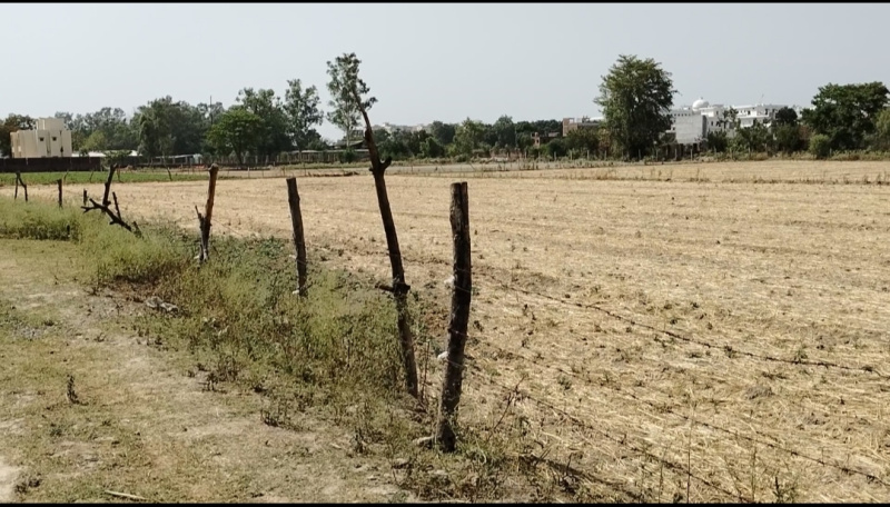  Agricultural Land 4 Bigha for Sale in Lucknow Faizabad Highway