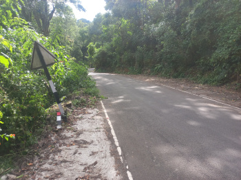  Agricultural Land for Sale in Pannaikadu, Kodaikanal