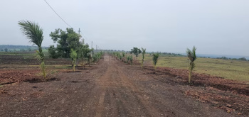  Agricultural Land for Sale in Zaheerabad, Sangareddy