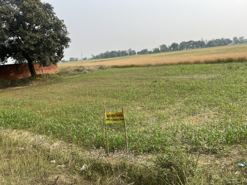  Commercial Land 120 Dismil for Sale in Pharenda Road, Mahrajganj