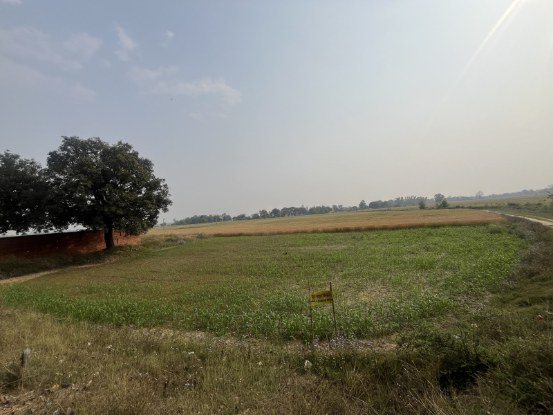  Commercial Land 120 Dismil for Sale in Pharenda Road, Mahrajganj