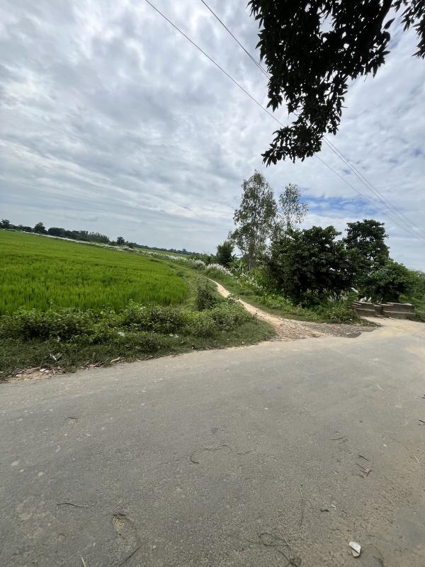  Commercial Land 120 Dismil for Sale in Pharenda Road, Mahrajganj