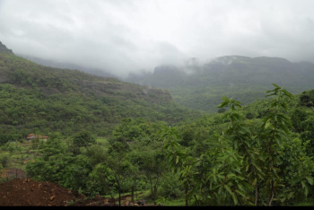  Agricultural Land for Sale in Pali, Raigad