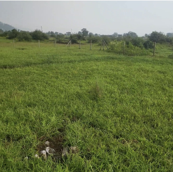  Agricultural Land for Sale in Waksai, Lonavala, Pune