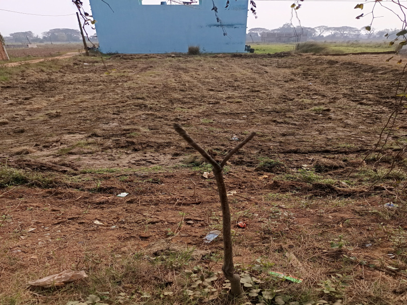  Commercial Land 4000 Sq.ft. for Sale in Khalikote, Ganjam