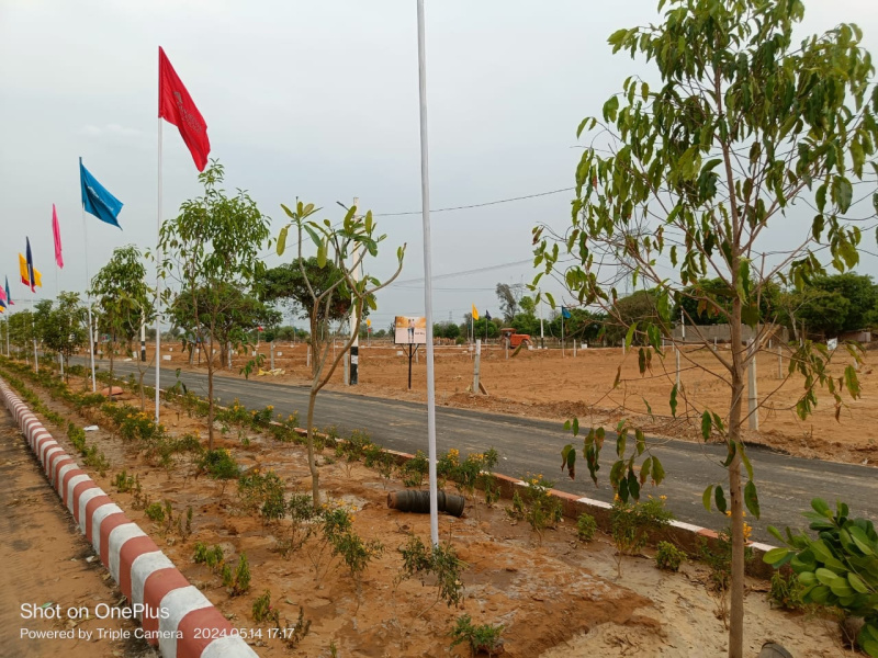  Residential Plot 100 Sq. Yards for Sale in Diggi Road, Jaipur