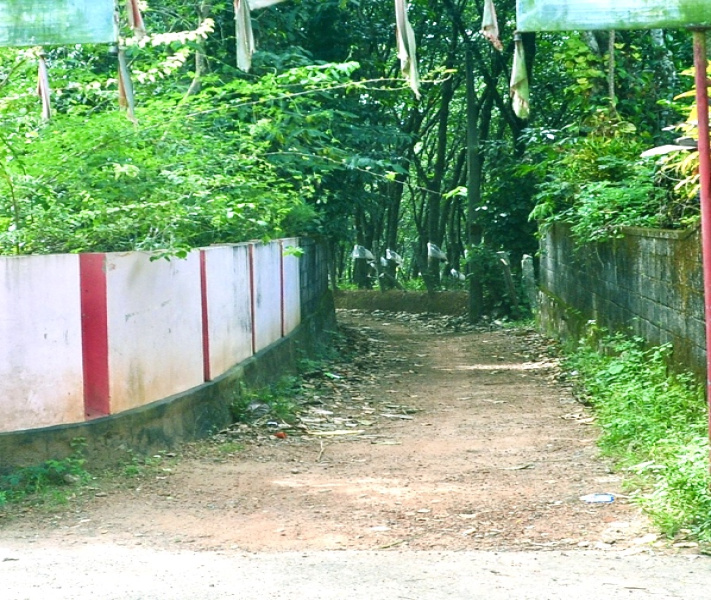  Agricultural Land 70 Cent for Sale in Anchal, Kollam