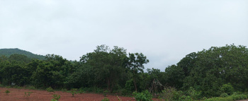  Industrial Land for Sale in Prathipadu, East Godavari