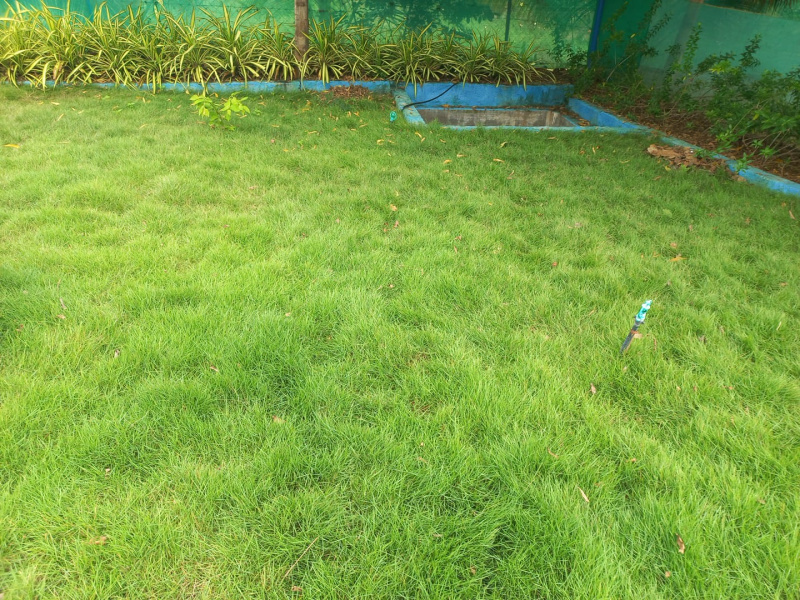  Agricultural Land 25 Cent for Sale in Sirumugai, Coimbatore