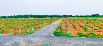  Agricultural Land for Sale in Madurantakam, Chennai