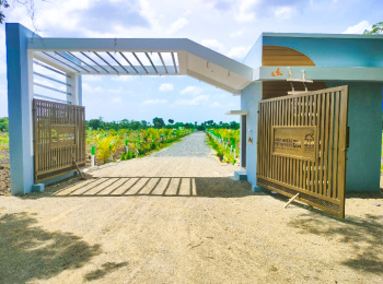  Agricultural Land for Sale in Tindivanam, Chennai