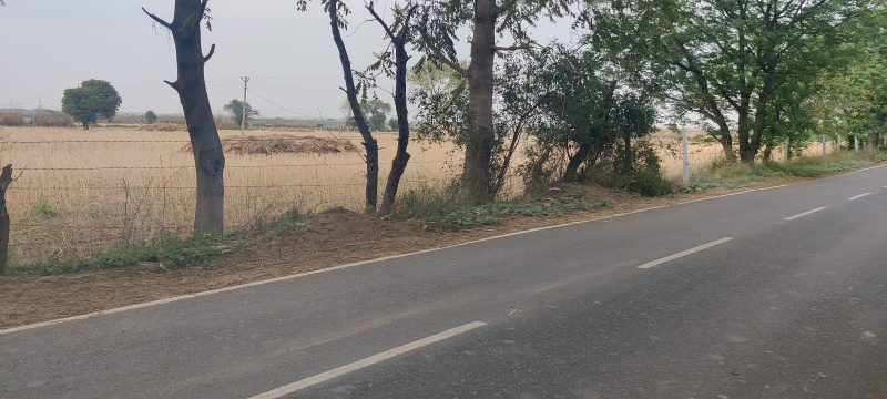 6 Acre Agricultural/Farm Land for Sale in Bhatera, Jhajjar