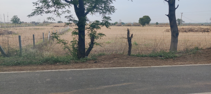  6 Acre Agricultural/Farm Land for Sale in Bhatera, Jhajjar