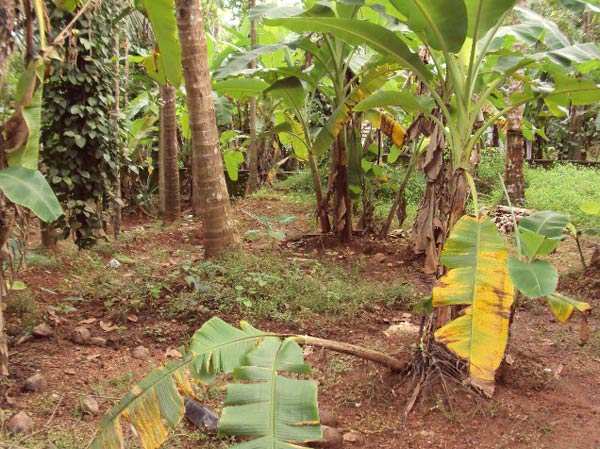  7 Cent Residential Plot for Sale in Eranhipalam, Kozhikode