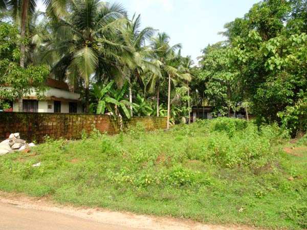  Residential Plot 12 Cent for Sale in Kakkodi, Kozhikode