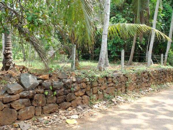 Residential Plot 30 Cent for Sale in Chathamangalam, Kozhikode