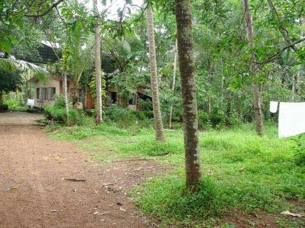 Residential Plot 10 Cent for Sale in Kunduparamba, Kozhikode