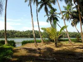  Commercial Land for Sale in Calicut, Kozhikode