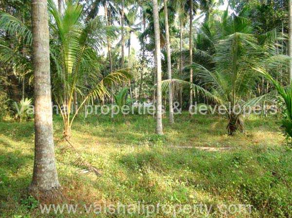  20 Cent Residential Plot for Sale in Eranhipalam, Kozhikode