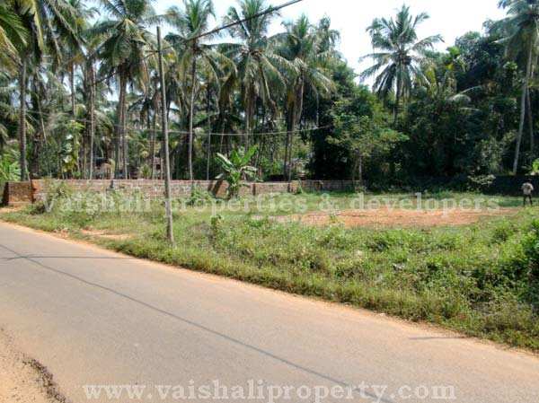  20 Cent Residential Plot for Sale in Eranhipalam, Kozhikode