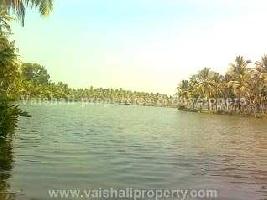  Residential Plot for Sale in Quilandy, Kozhikode