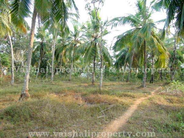  Residential Plot 3 Acre for Sale in Eranhipalam, Kozhikode