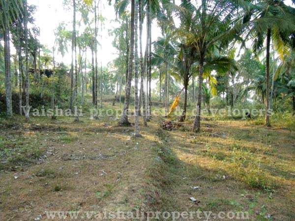  Residential Plot 3 Acre for Sale in Eranhipalam, Kozhikode