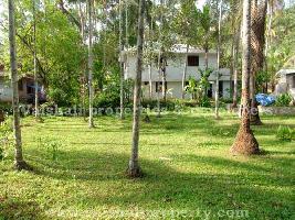  Residential Plot for Sale in Cheruvatta, Kozhikode