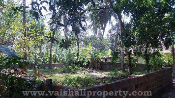  Residential Plot for Sale in Pottammal, Kozhikode