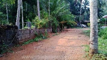  Residential Plot for Sale in East Hill, Kozhikode