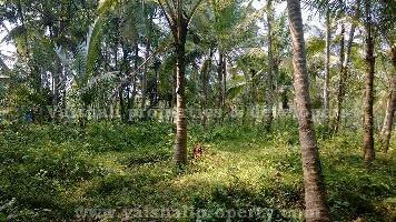  Residential Plot for Sale in Kakkodi, Kozhikode