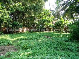  Residential Plot for Sale in Mokavoor, Kozhikode