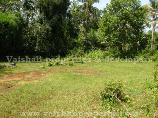 Residential Plot 11 Cent for Sale in