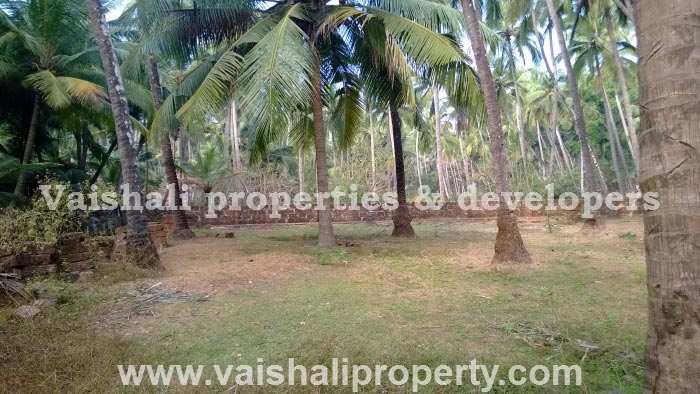1 Acre Residential Plot for Sale in Eranhipalam, Kozhikode