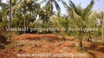  Residential Plot for Sale in Peruvayal, Kozhikode