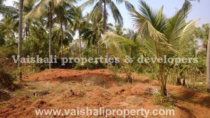 20 Cent Residential Plot for Sale in Peruvayal, Kozhikode