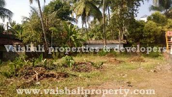  Residential Plot for Sale in Ummalathoor, Kozhikode