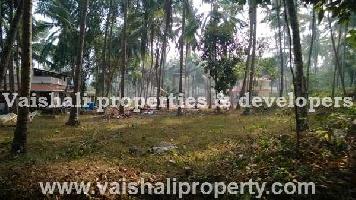  Residential Plot for Sale in Kunduparamba, Kozhikode