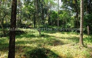  Residential Plot for Sale in Calicut, Kozhikode