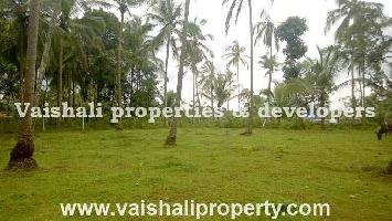  Residential Plot for Sale in Balussery, Kozhikode