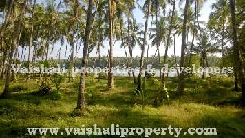  Residential Plot for Sale in Calicut, Kozhikode